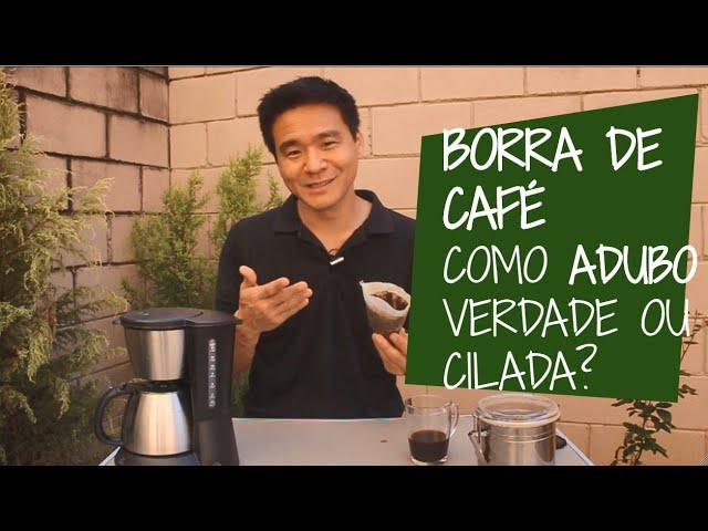 BORRA DE CAFÉ como ADUBO - É bom ou é cilada?