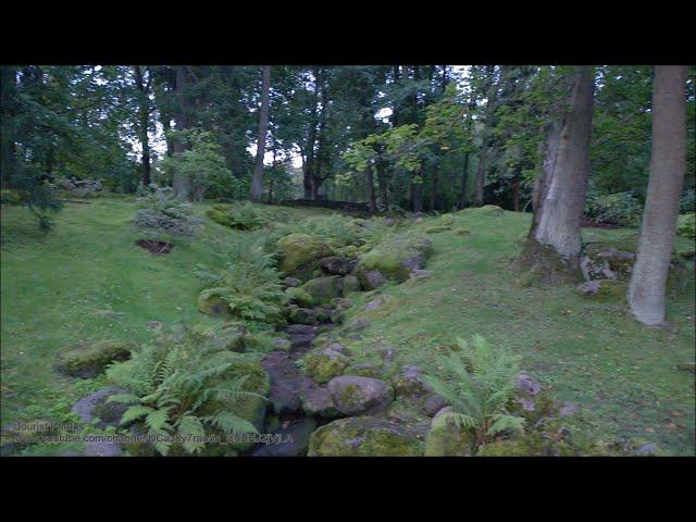 Early morning in Japanese Garden of Kadriorg Park.