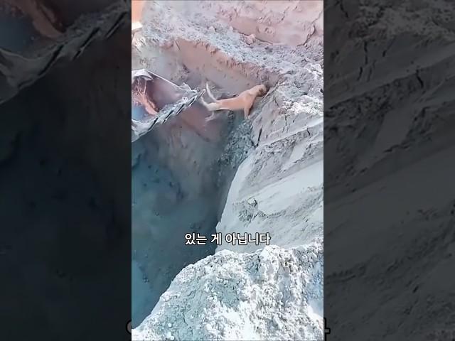 굴삭기를 쓰는 올바른 방법