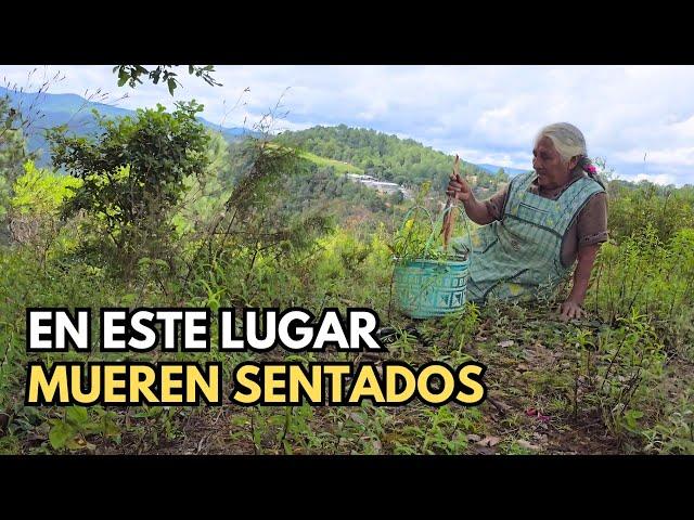 "Tengan precaución con los cerros"|Tía Rufina