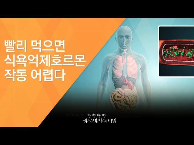 빨리 먹으면 식욕억제호르몬 작동 어렵다 - (2016.1.27_569회 방송)_천천히 먹어야 천천히 늙는다