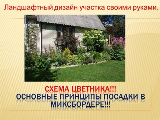 Схема цветника! Основные принципы посадки цветов в миксбордере!