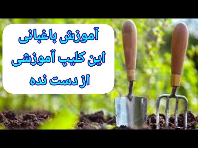 آموزش باغبانی،حتما ببینید؛ در مورد اکثر درخت‌ها صحبت شده!