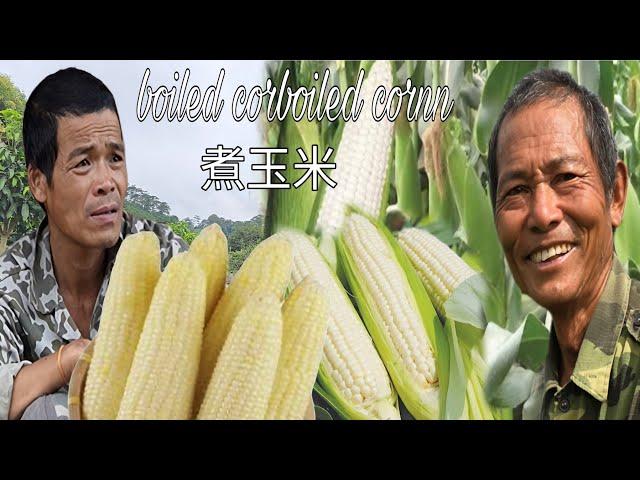 One Sweet Corn to Last a Day: Soldier Hong makes his whole family bald | Sung A Pao