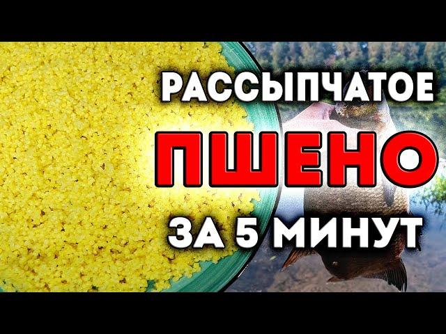 ПРОСТОЙ и БЫСТРЫЙ рецепт РАССЫПЧАТОГО ПШЕНА без ПРОПОРЦИЙ и расчетов. Хватит мучаться, вари также