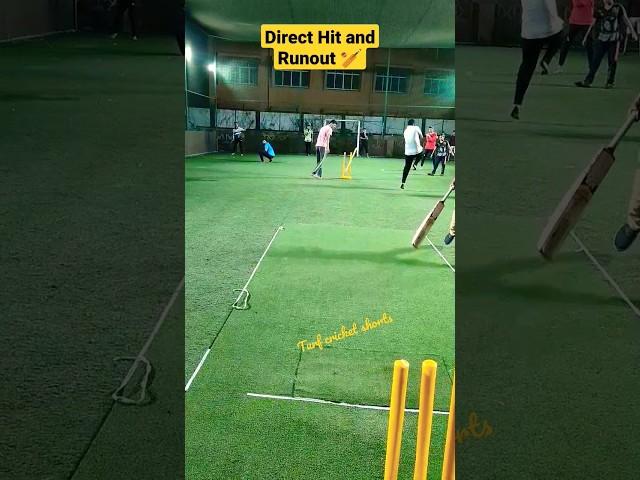 Nice throw #cricket #cricketpractice #youtubeshorts #cricketshots #crickettechniques