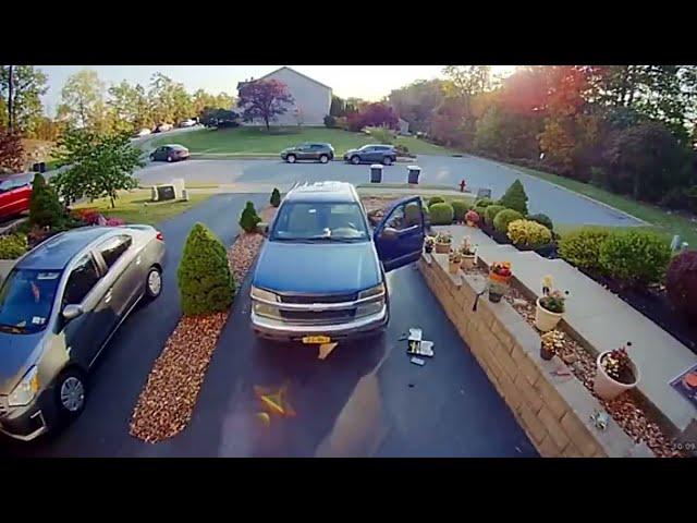 Idiots on Wheels 2