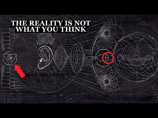 Quantum Realities: How Your Mind Alters the Universe