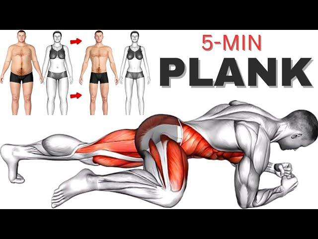 5 Min Planks Daily Transform Your Body | Plank to Get 6 Pack Abs