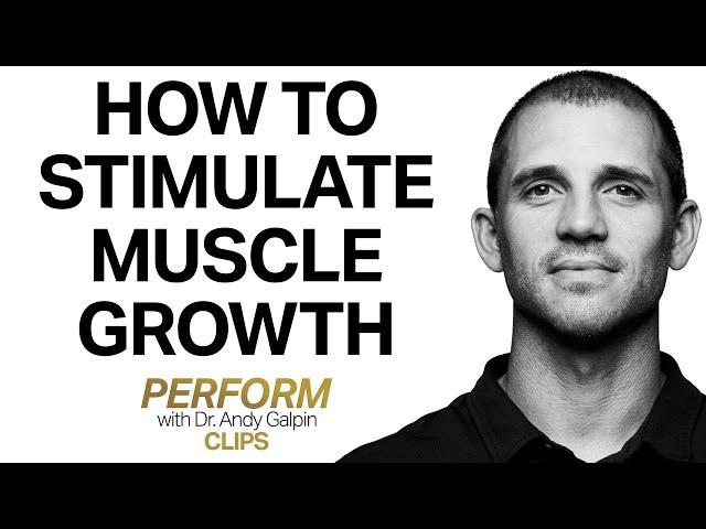 Best Nutrition & Training to Simulate Muscle Growth | Dr. Andy Galpin