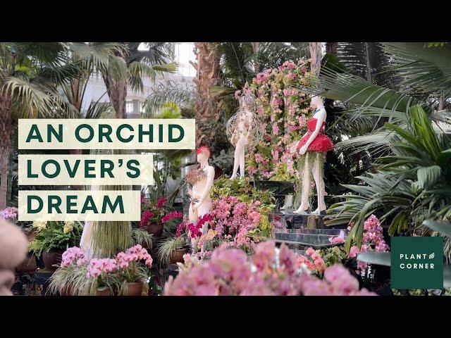 The Orchid Night at NYBG : NYC Plant Tour