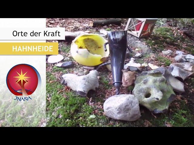 Kraftort: Steinkreis Hahnheide