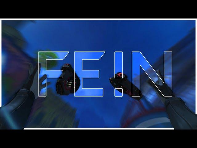 FE!N  (Overwatch Montage)