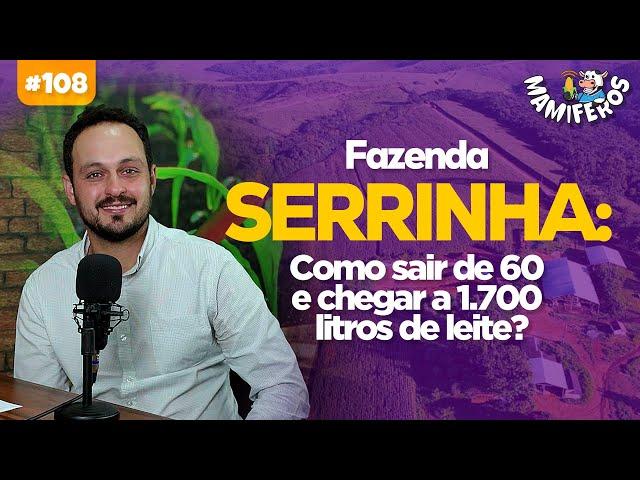 FAZENDA SERRINHA: COMO SAIR DE 60 E CHEGAR A 1700 LITROS DE LEITE?