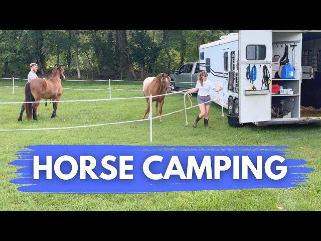 Camping For the First Time! Satisfying Horse Camp Setup