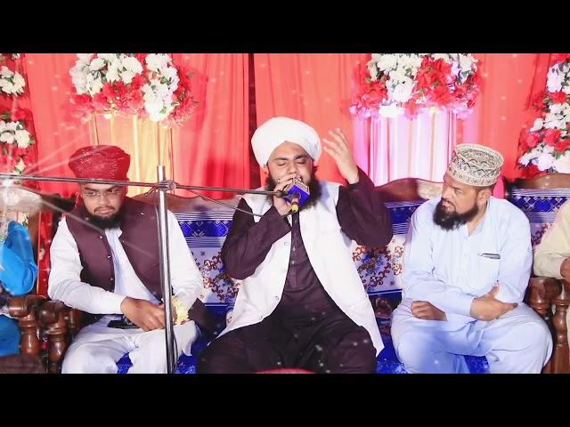 Kalam e bahoo l Syed Numan shah Qadri chishti sabri