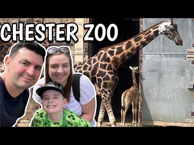 Chester Zoo 2024