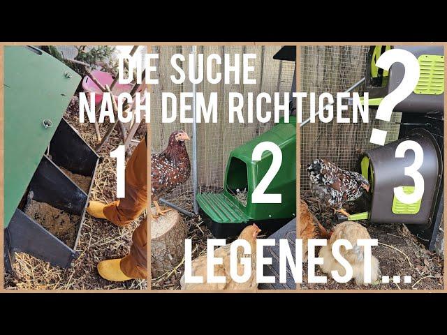 Welches ist das richtige LEGENEST für uns⁉️ || Hühner im Garten halten #9