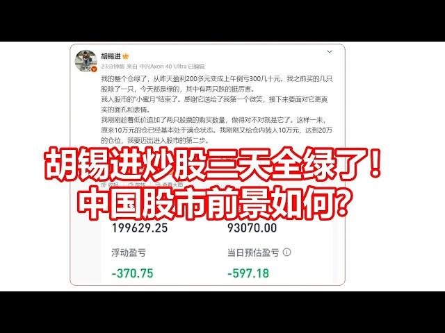 胡锡进炒股三天全绿了！ 中国股市前景如何？