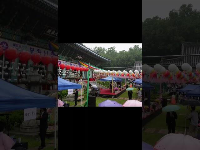 (깜짝놀란)불교합창단!! 어머님들  교회에서만들었던 그합창단!!?#shorts