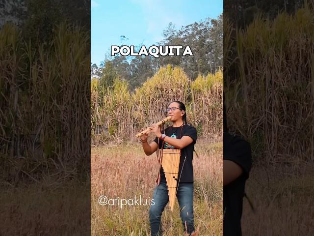 Polaquita Sanjuanito#musica #ecuador #feed #musicatradicional #musicatradicional #nature