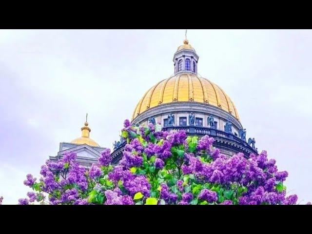 Храмы. Главные доминанты Санкт-Петербурга