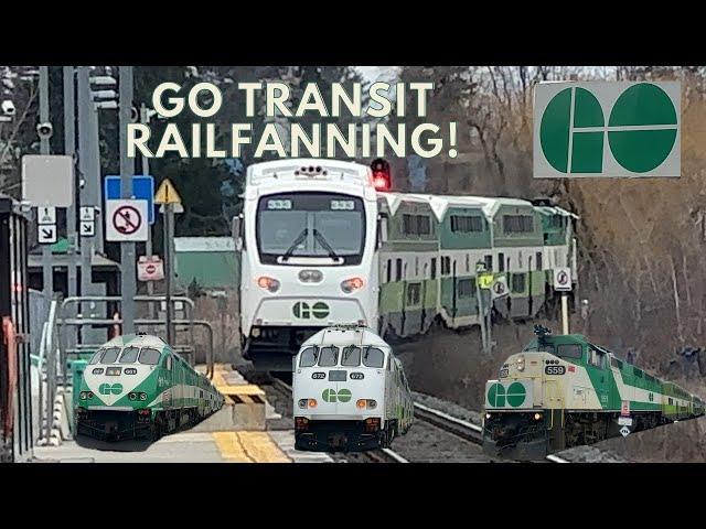 (F59PH 559, Equipment Moves, Powerful Horns, ETC) Go Transit Railfanning At The King City Go Station