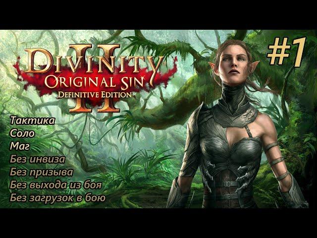 Прохождение Divinity: Original Sin 2 [Definitive Edition]. Тактика без инвиза. Соло. #1