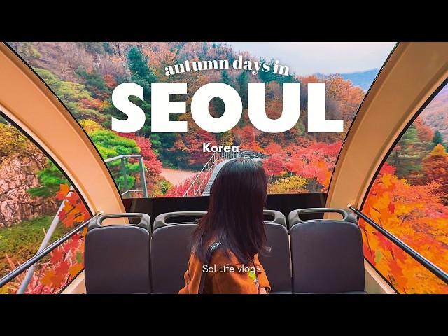 Autumn in Seoul, Korea VLOG | best autumn foliage spots, Hwadan Forest, cafes with view, home baking