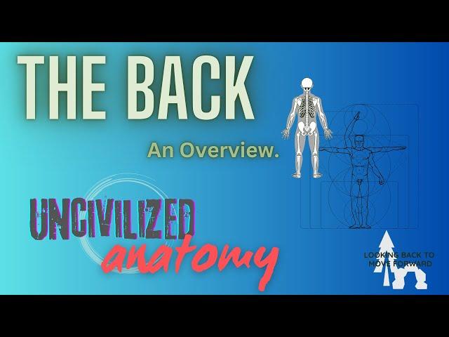 Uncivilized Anatomy Back Musculature Overview