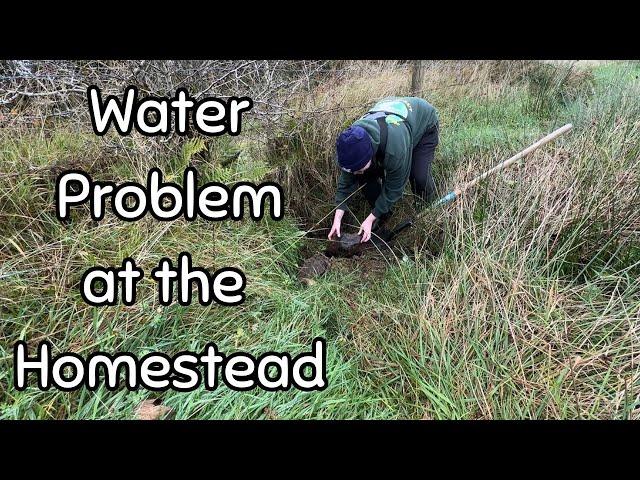 Trying to solve the water problem at my old Irish cottage and homestead - Ep. 89