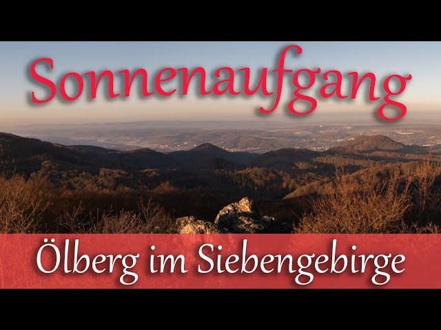 Wanderung auf den Ölberg im Siebengebirge zum Sonnenaufgang und Eidechsen am Stenzelberg