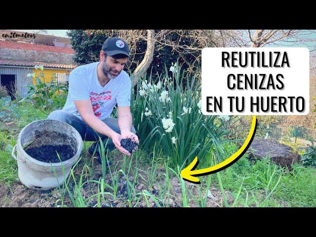 NO TIRES LA CENIZA DE TU ESTUFA O QUEMADOR: enmienda orgánica para huerto o jardín || en20metros