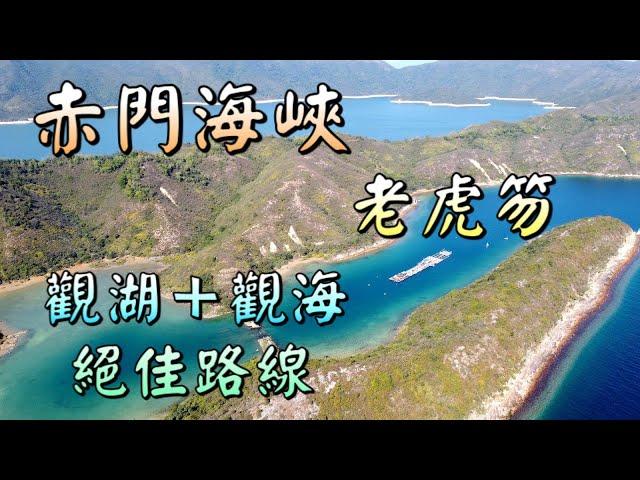 【香港好去處】船灣淡水湖郊遊徑．老虎笏｜赤門海峽｜超級美麗輕鬆的郊遊路線｜珍珠養殖場｜極少人會走下去的路｜