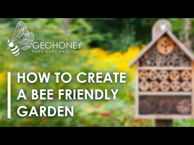 How To Create a Bee Friendly Garden? | Geohoney