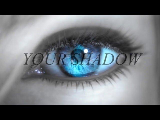 Noctis x Lightning - Shadow