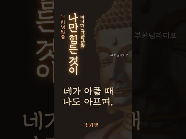 나만 힘든 것이 아니다(共苦共樂) | 부처님말씀 | 석가모니명언 | 인생지혜 | 명상의말씀