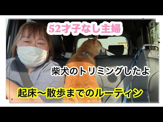 【52才子なし主婦】お弁当作り／柴犬シャンプーDAY／掃除機／ドライブ／散歩
