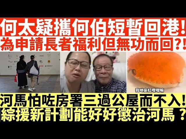 何太疑攜何伯短暫回港!|為申請長者福利但無功而回?!|河馬怕咗房署三過公屋而不入!|綜援新計劃能好好懲治河馬?|何太出手投訴邵子風網台|井仔點睇 #何太 #東張西望何伯 #何太無糧軍師 #何太