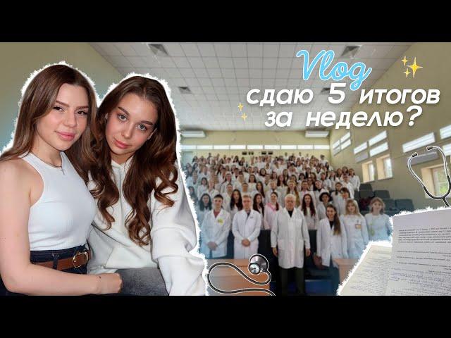 VLOG: СДАЮ 5  ИТОГОВ ЗА НЕДЕЛЮ ДО СЕССИИ