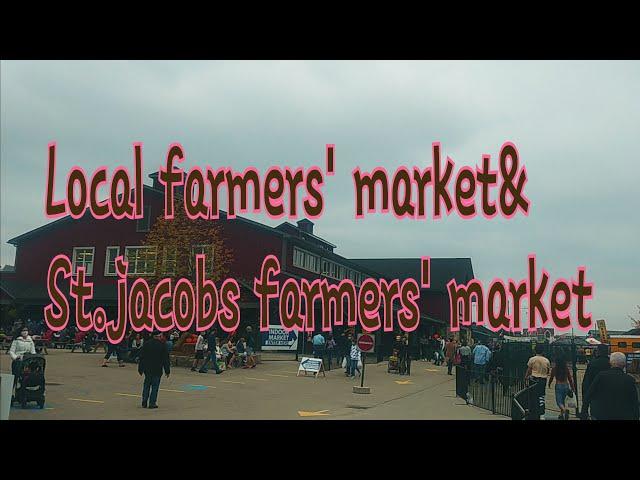 로컬 파머스 마켓방문과 St.Jacobs farmers market(세인트 제이콥 파머스마켓)