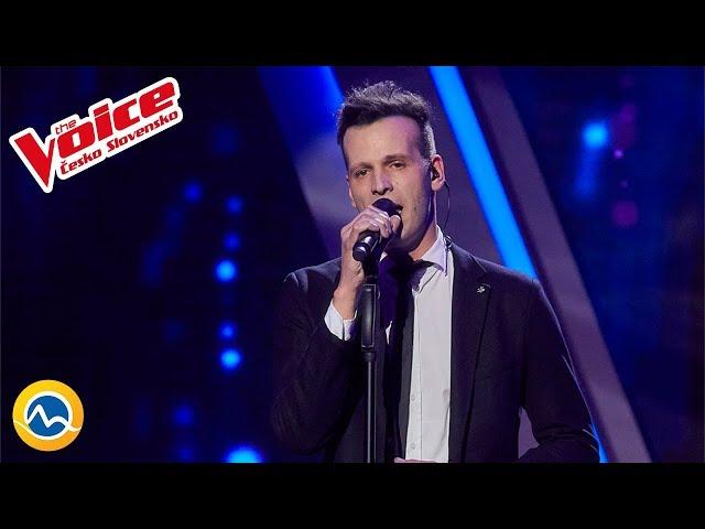 Another Love (Tom Odell) - Dušan Diamant -The Voice Czecho Slovakia 2019