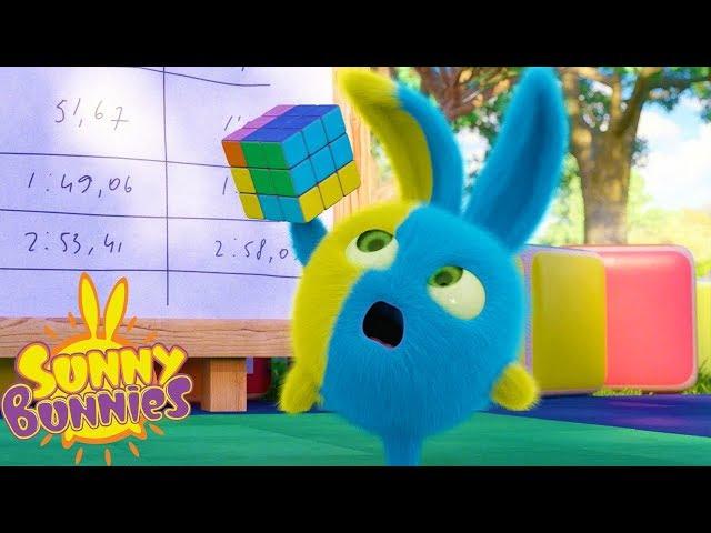 Cartoons for Children | SUNNY BUNNIES - RUBIK'S CUBE | Funny Cartoons For Children