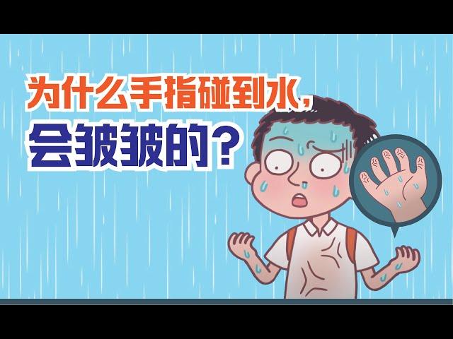 健康冷知识 | 惊奇！为什么手碰到水，手指就会皱皱的？