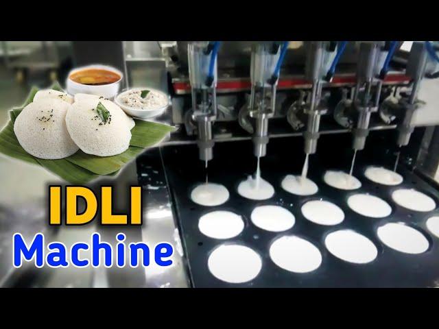 Idli Machine Automatic | Idli Maker | Earn Money from Idli Business