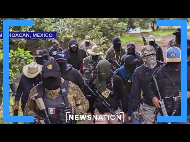 Texas lawmaker calls for cartel task force | NewsNation Prime