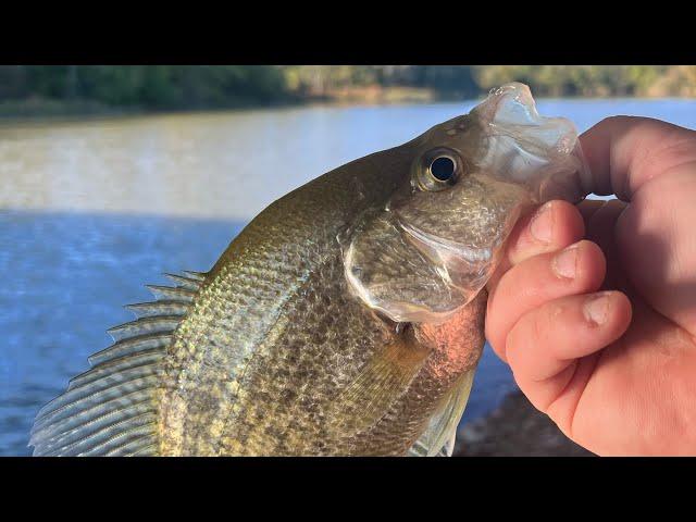 Fall Crappie Fishing