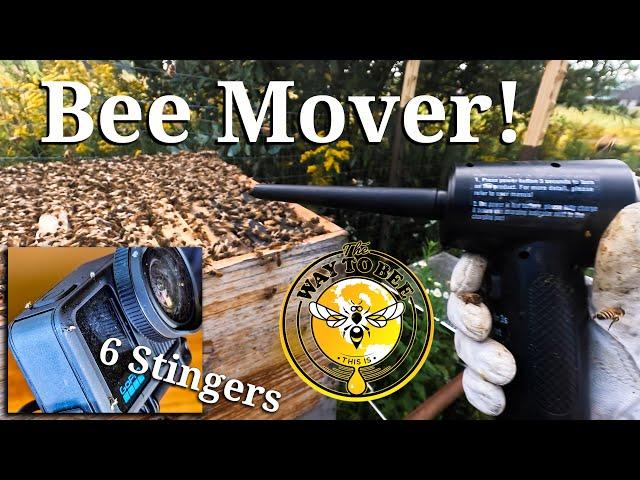 Defensive Bee Brushless Removal Honey Frame-Swap  Quick Tip