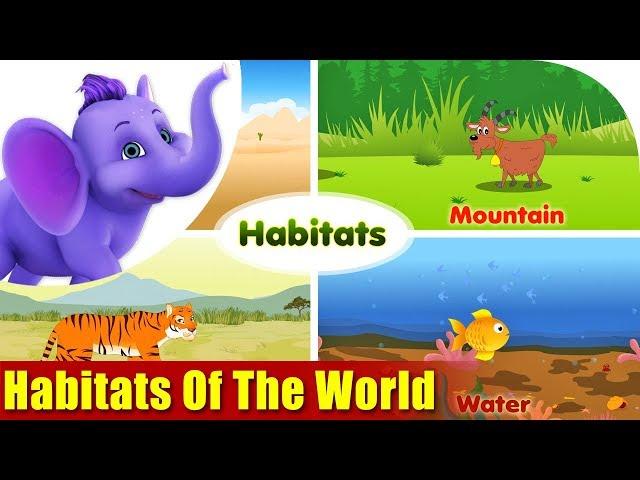 Habitats Of The World | Nature song for Kids | 4K | Appu Series