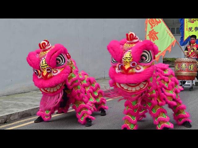 Lion Dance 2021